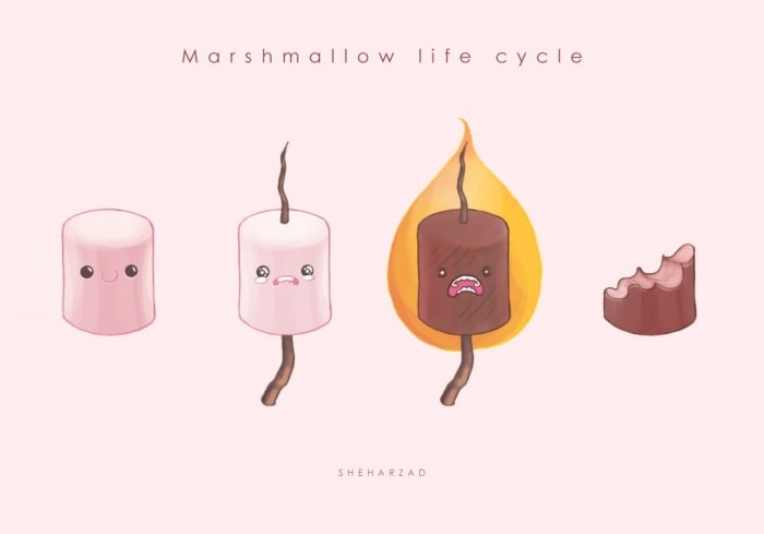 Marshmallow life cycle
