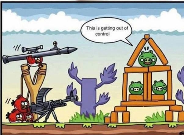 Real Angry Birds