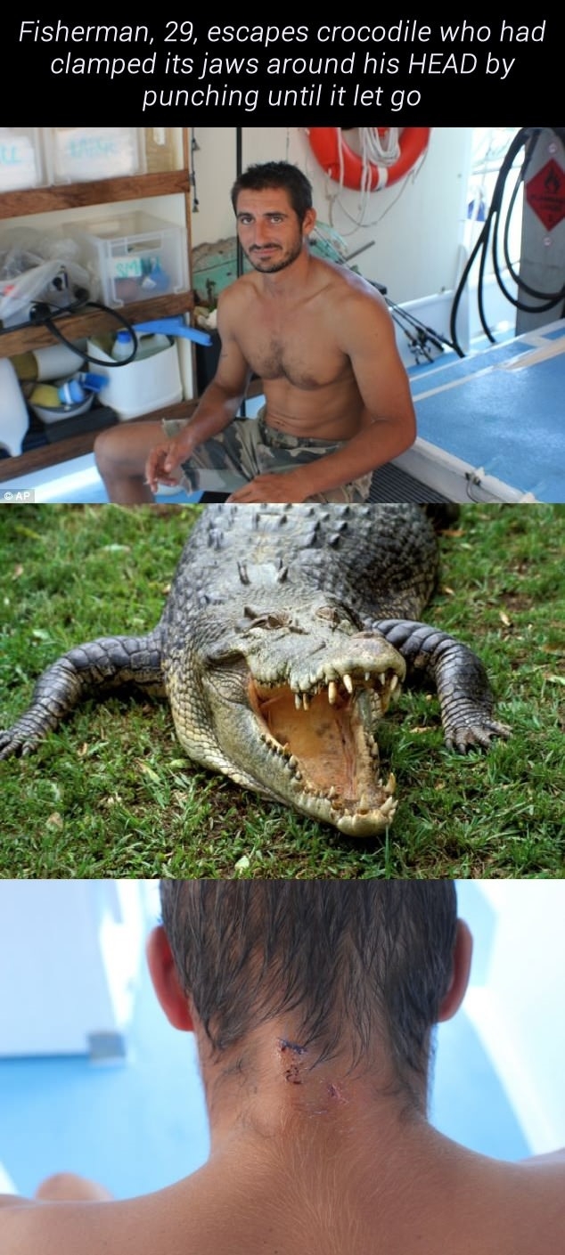 Meanwhile in Australia