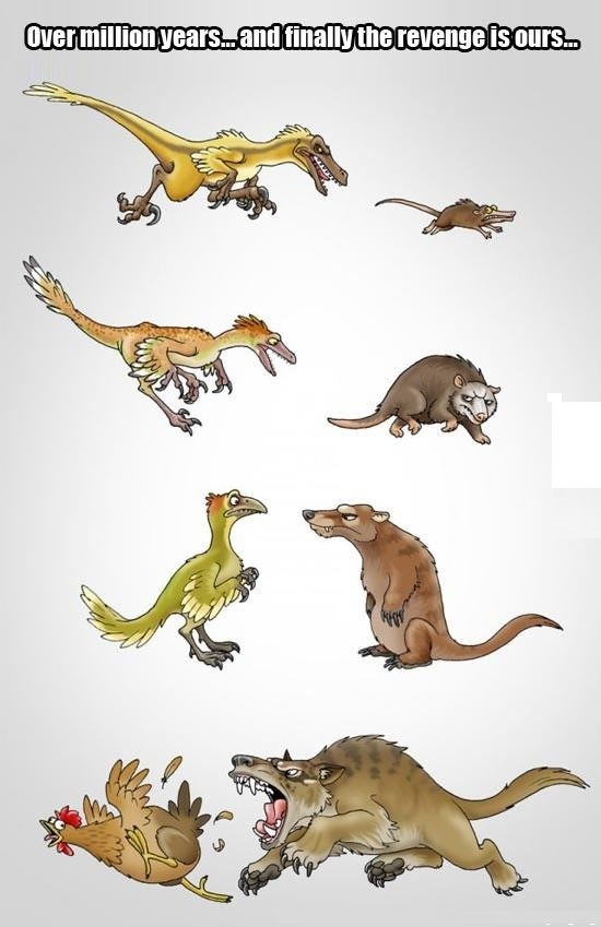 After millions of years