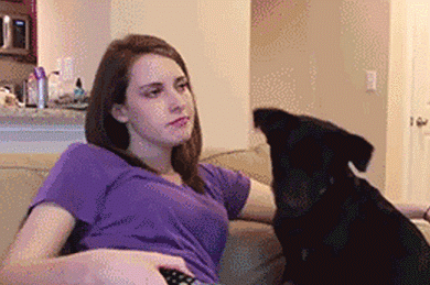 Overly Attached Dog