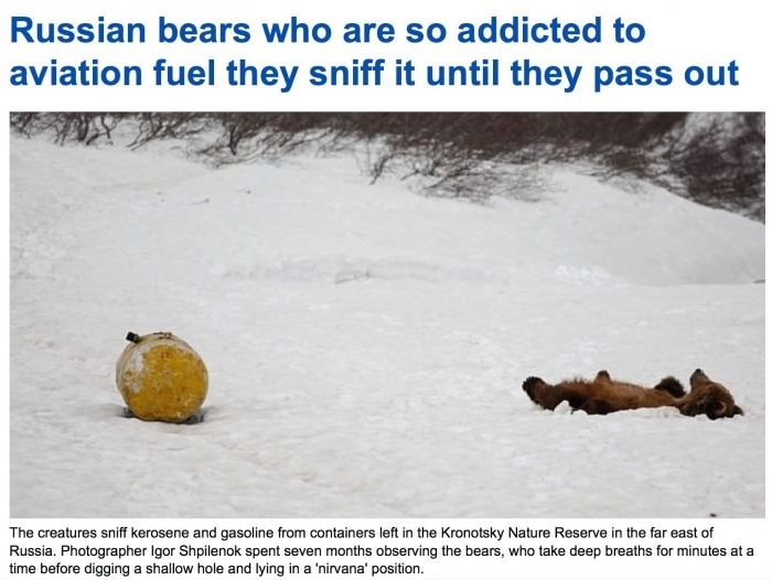 Russian bears