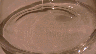 Blood & hydrogen peroxide