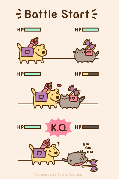 Dog VS Cat