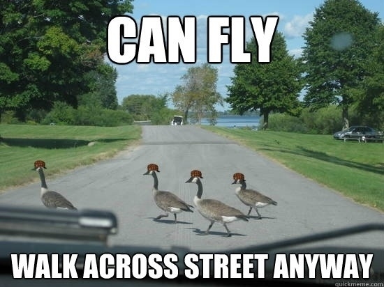 Scumbag Geese