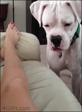 Don't worry, I won't bite