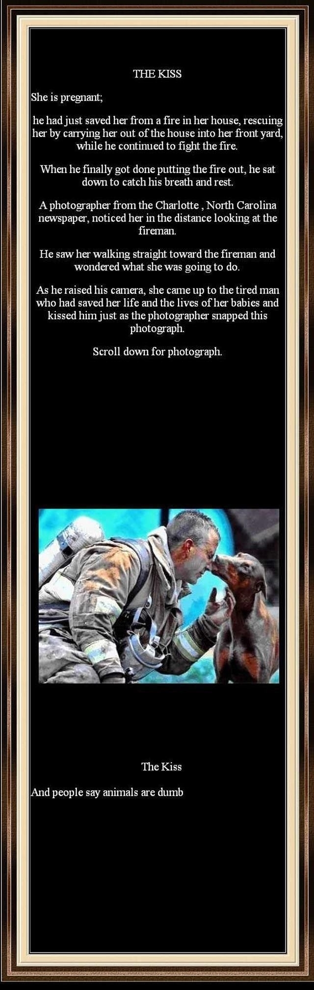 Animals