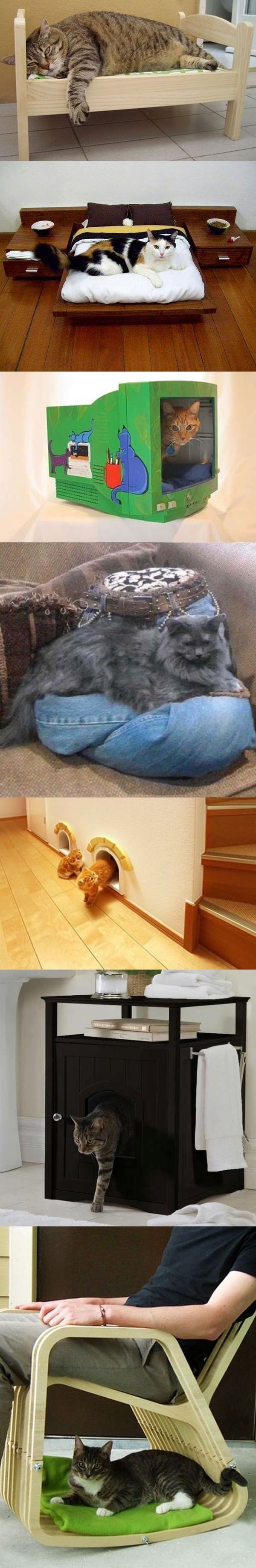 Cats need furniture too