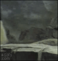 Panda Teamwork