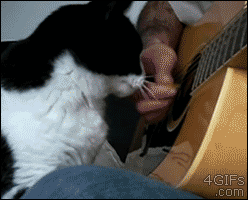 Gimme some too