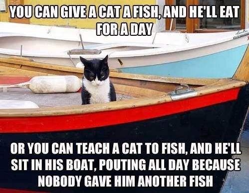 Give a cat a fish..
