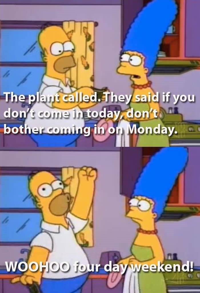 Homer, the plant called..