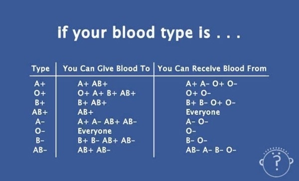 Blood infographic