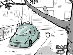 Damn birds!