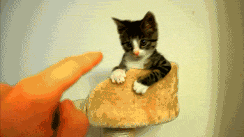 Awwwwwww!
