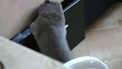 Caught red-handed