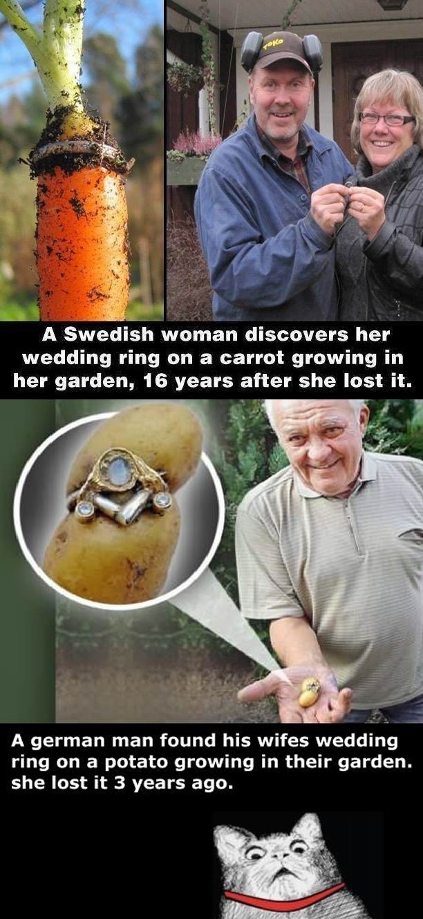 Good Guy Nature