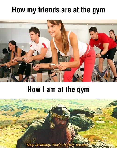 I went to the gym once