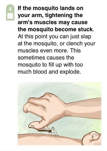 Mosquito technique
