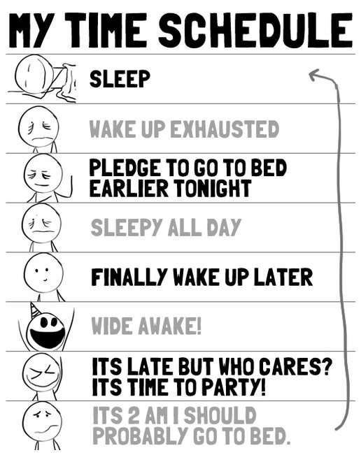 My daily schedule!