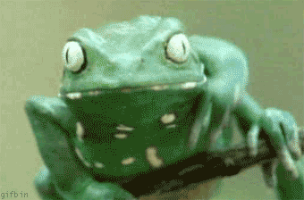 Epic Frog