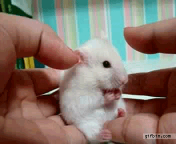 His reaction is priceless