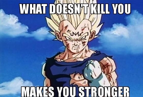 Truth in DBZ