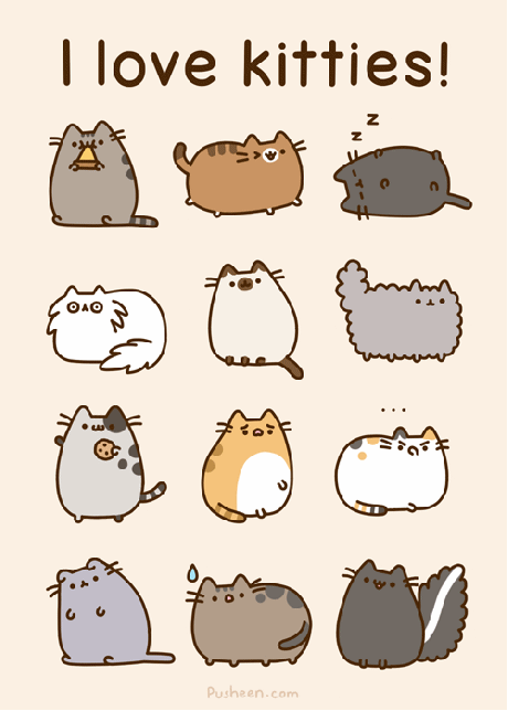 I love kitties!