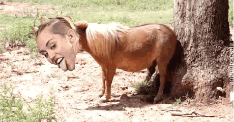 Miley is outta control!