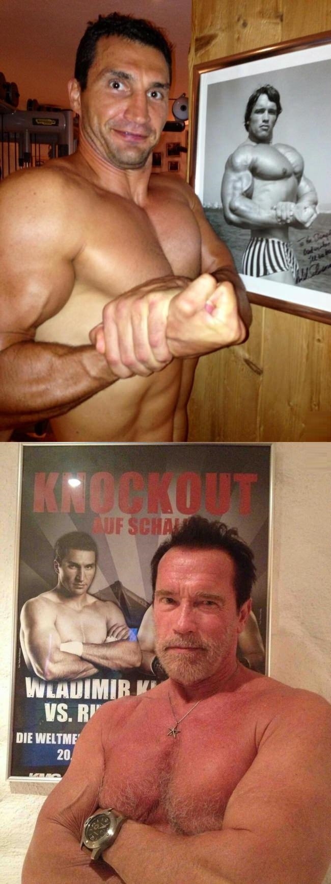Vladimir vs. Arnold