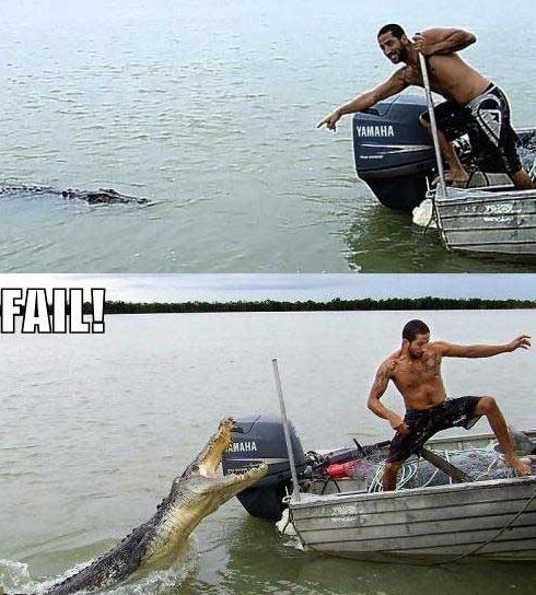 Dont Mess With Crocs