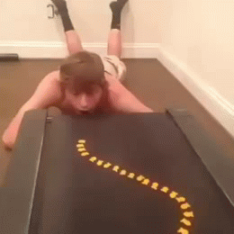 Treadmill & fish
