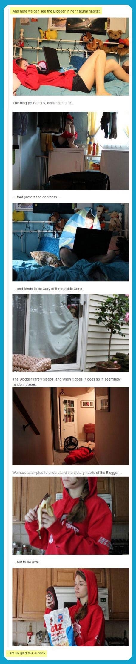 A blogger's natural habitat