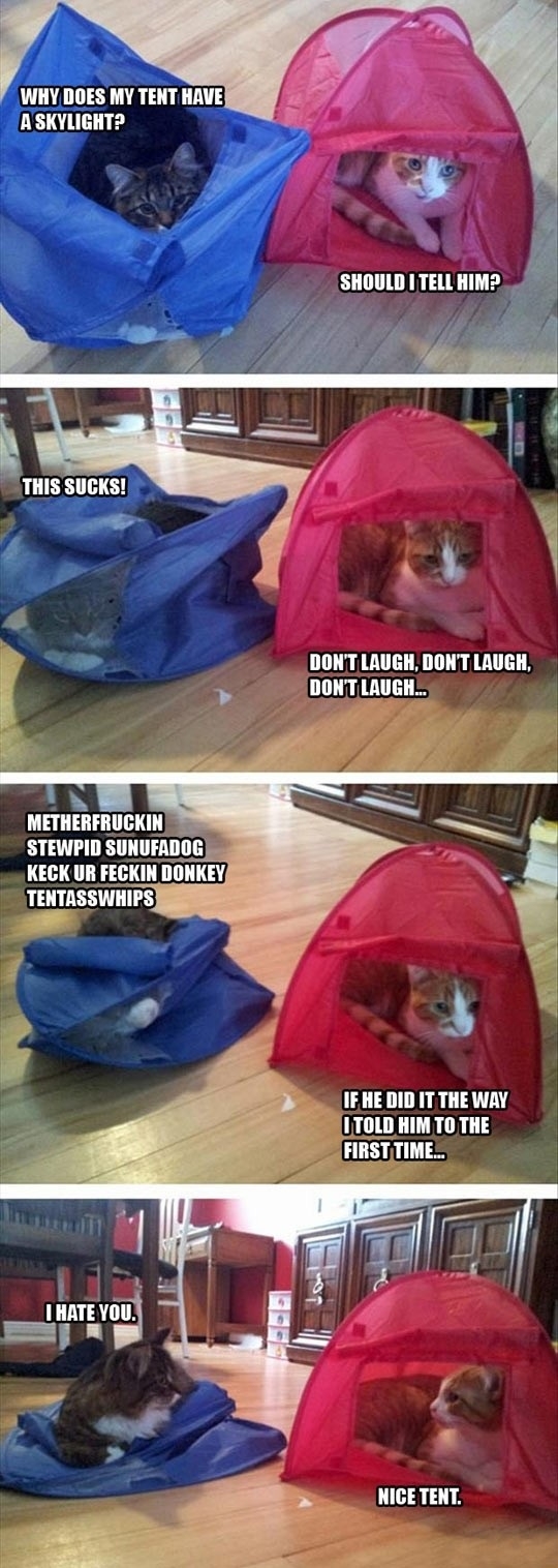 Hmm, should I tell him..