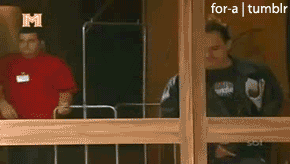 Stupid door
