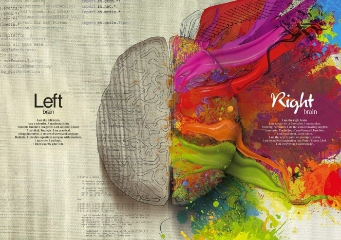 Brain