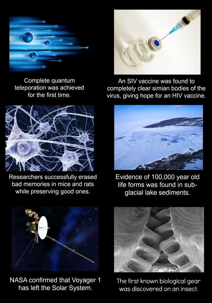 Amazing science stories