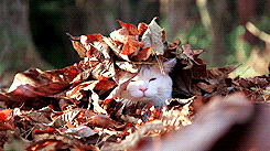 Autumn came fast!