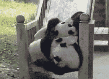 Pandas on a slide