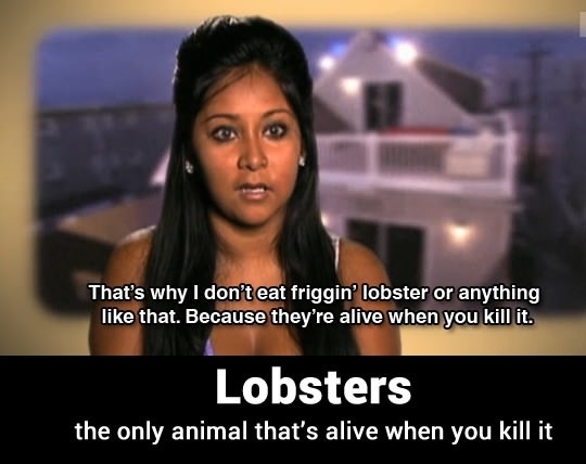 Why I don't eat lobster