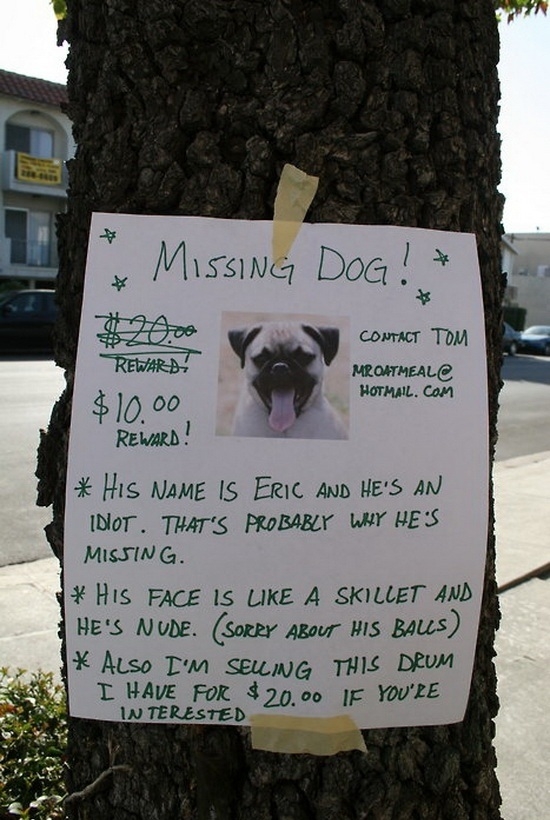 Missing Dog