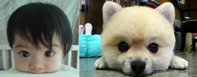 Who is cuter?