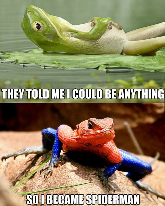 The Amazing Spider-Frog