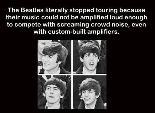 The Beatles