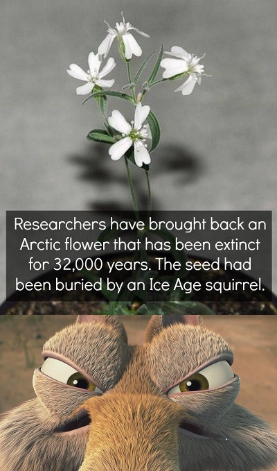 Scrat is not happy!