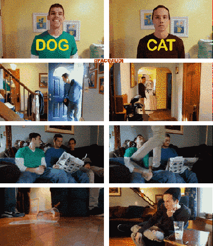 Dog vs Cat
