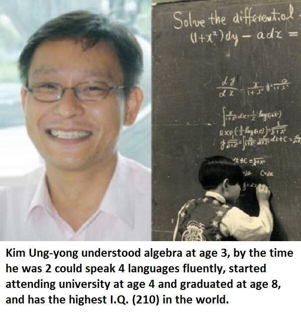 Highest IQ in the world