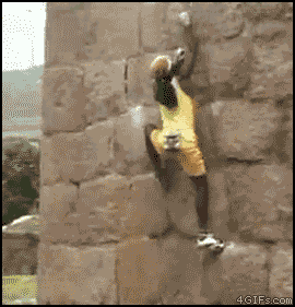 The New Spiderman