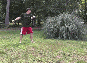 A spin wheel