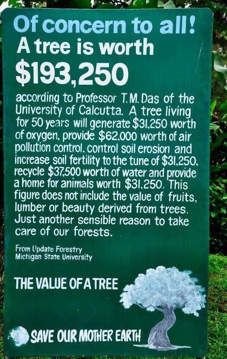 The true value of a tree